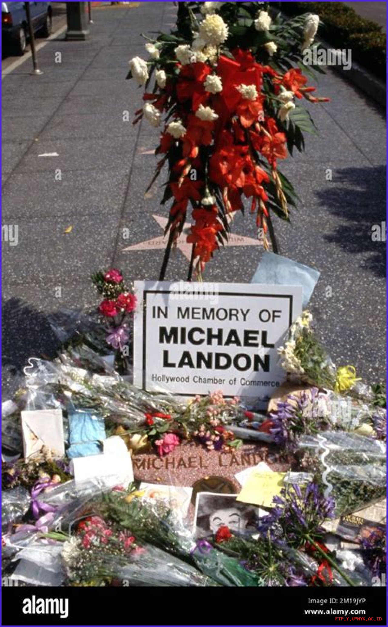 Remember The Last Moments: A Farewell To Michael Landon In His Final Photograph