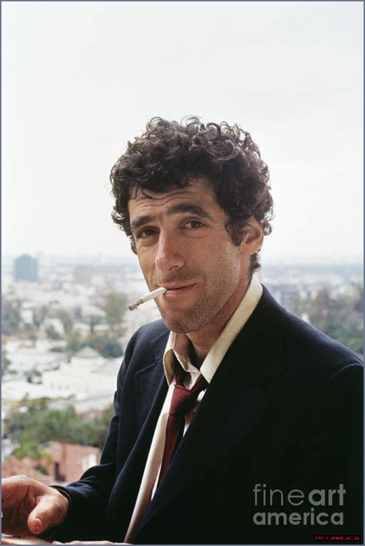 Renowned Actor Elliott Gould: A Hollywood Icon