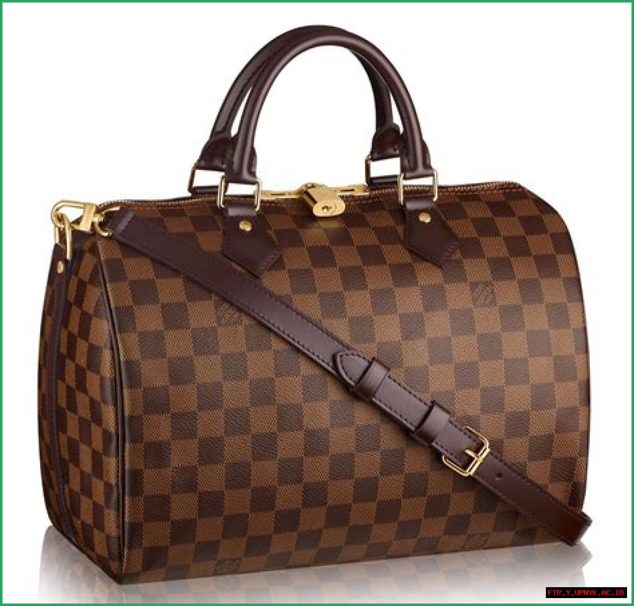 Rent Your Perfect Louis Vuitton Bag Today