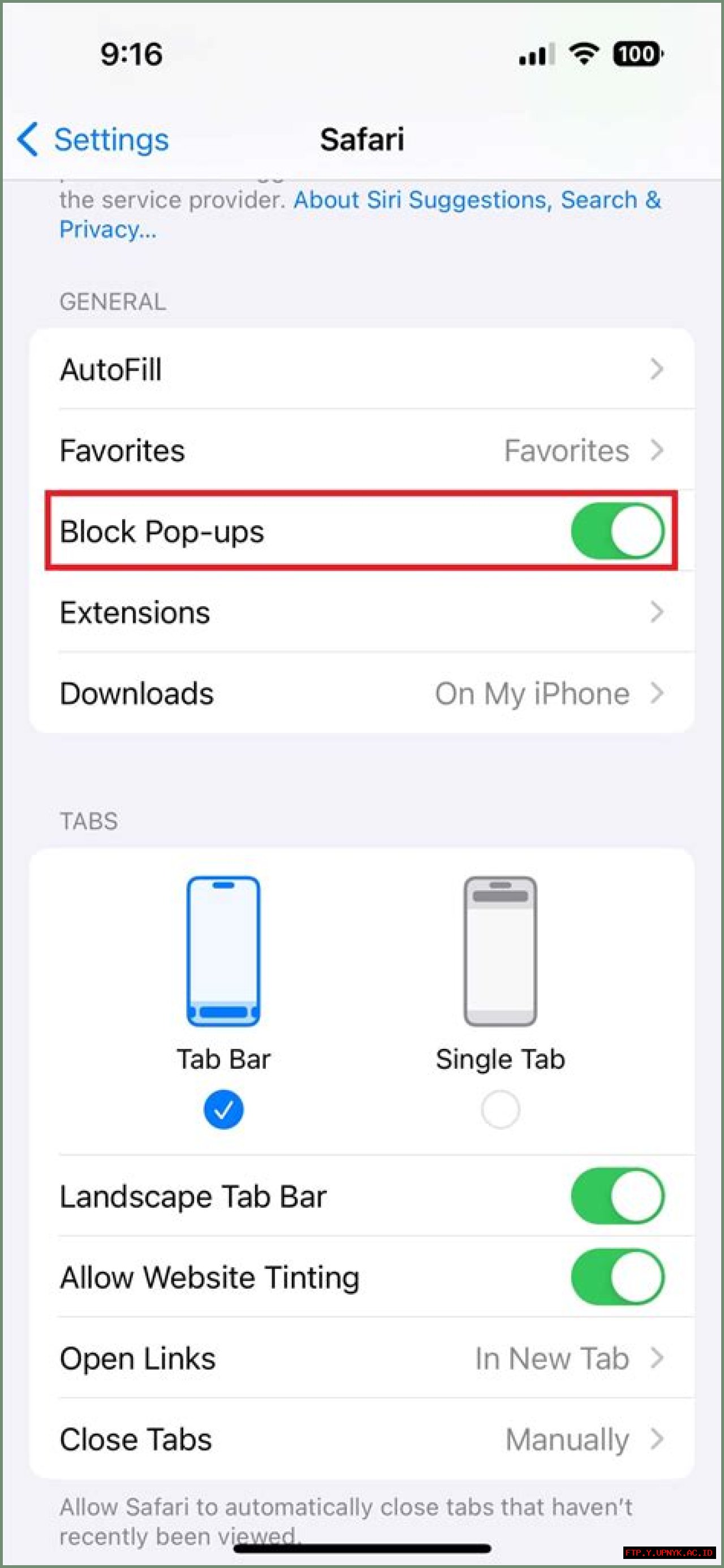 Safari Pop-Up Blocker Disabling Guide For IPhones