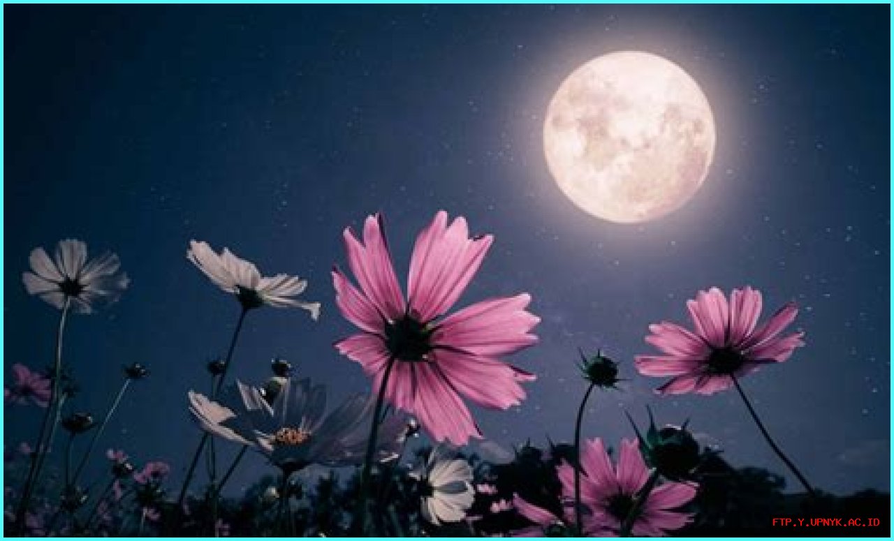 See The May 27th Moon: A Celestial Spectacle Not To Miss
