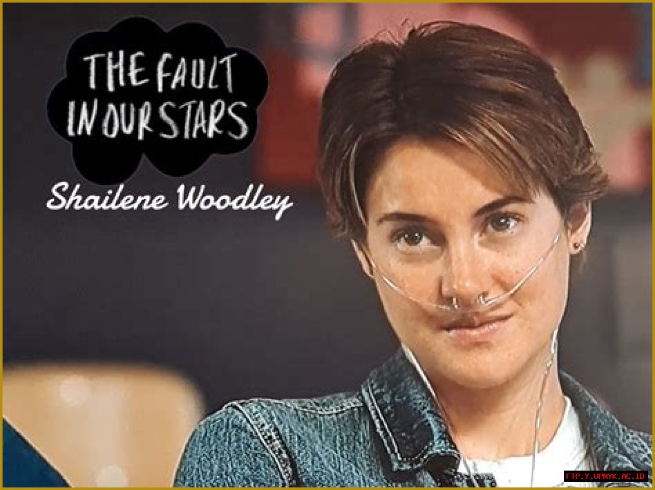 Shailene Woodley's Pregnancy Journey: An Exclusive Interview