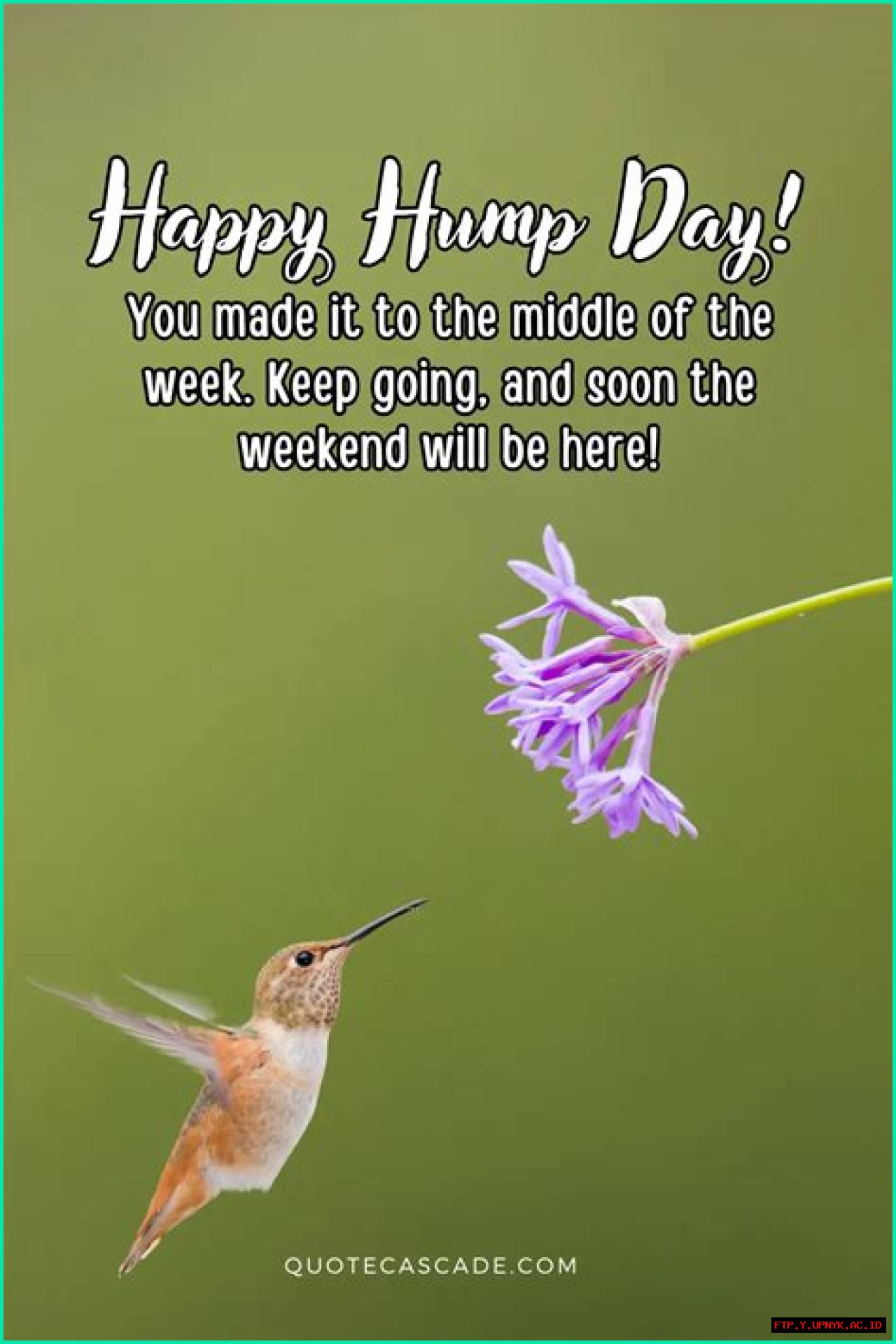 Spectacularly Happy Hump Day: Powering Through Wednesday