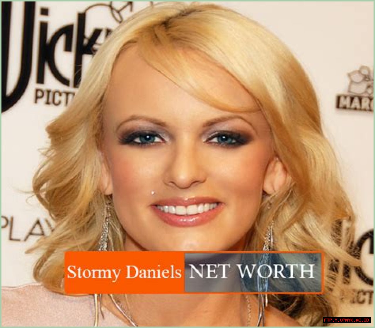 Stormy Daniels' Estimated Net Worth: Uncovering The Fortune And Fame