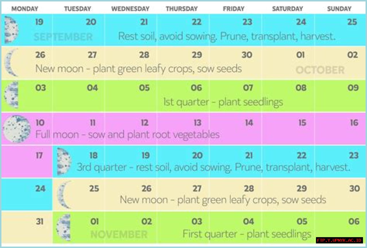 The Best Zodiac Signs For Planting In 2023: A Comprehensive Guide