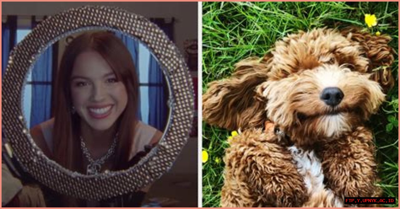 The Canine Or Feline Conundrum: Unraveling Olivia Rodrigo's Pet Preference