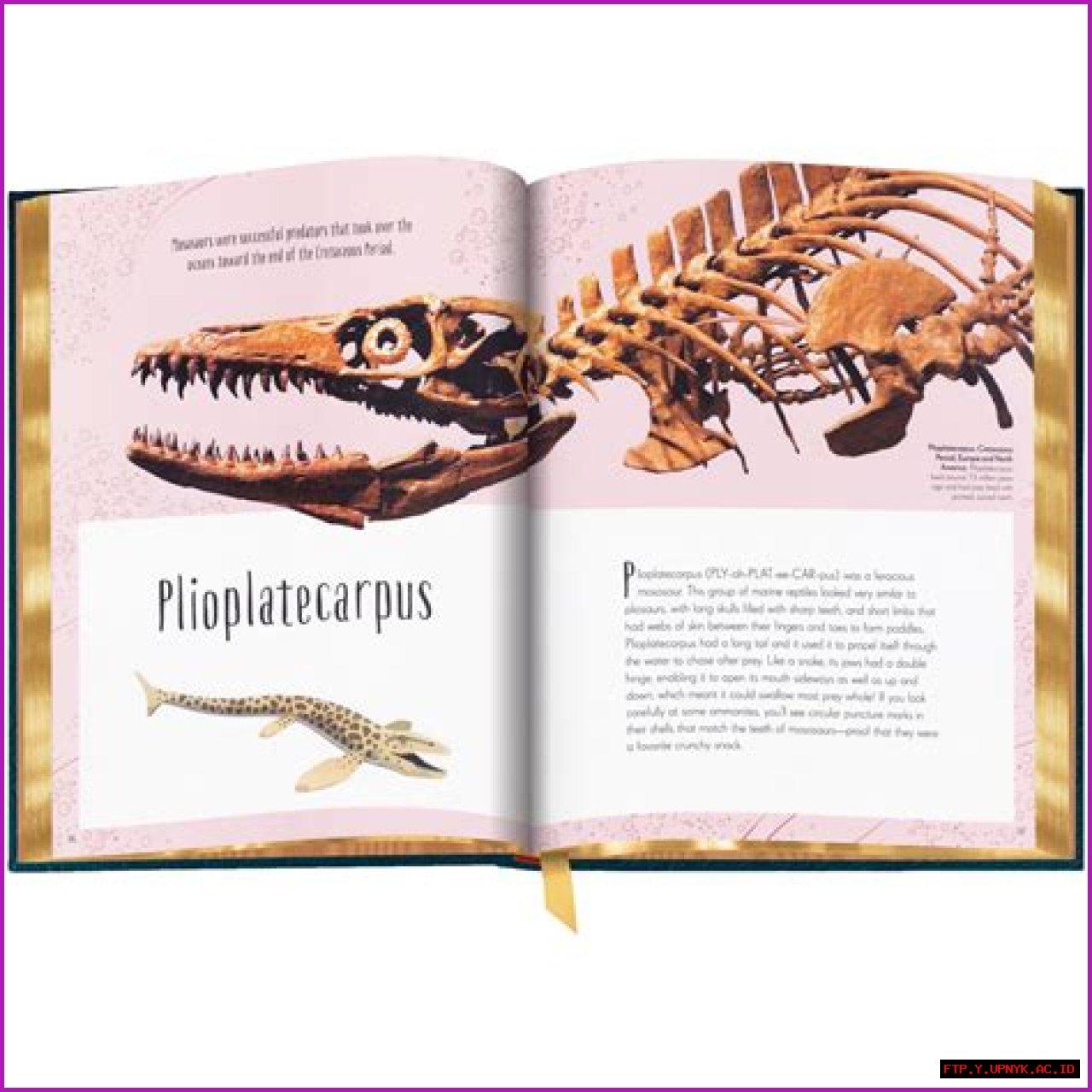 The Complete Guide To Chad Mizner: His Life, Architecture, And Legacy