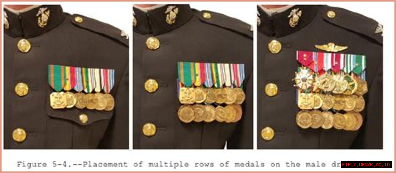The Complete Guide To Dress Blue Alpha Medals