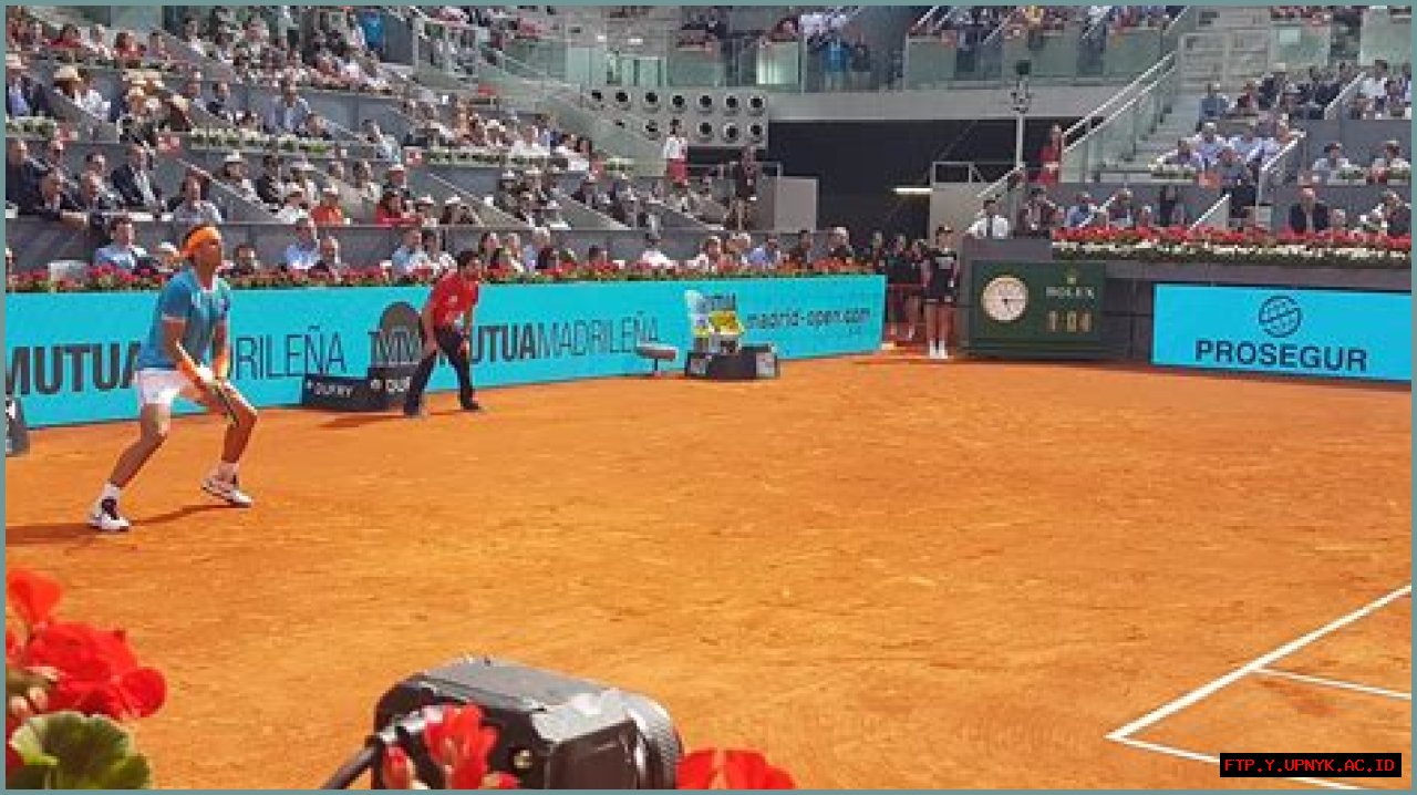 The Courts At Real Life: An Immersive Tennis Experience