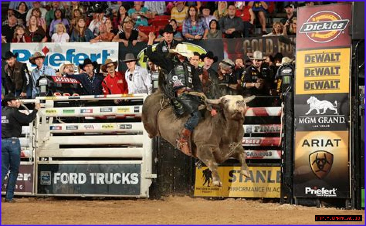The Current Endeavors Of Professional Bull Rider JB Mauney