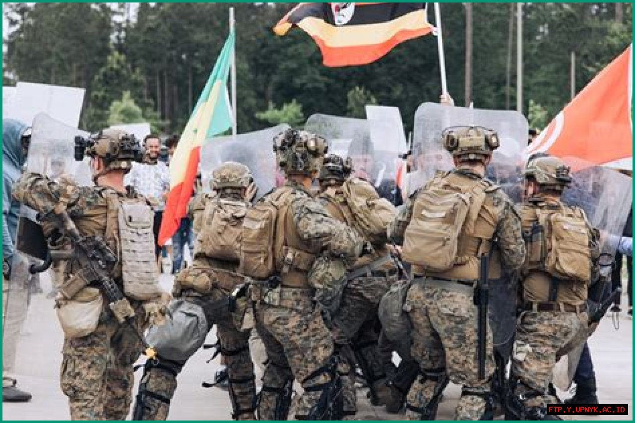 The Cutting-Edge Of Marine Warfare: Exploring The Evolution Of NEO USMC