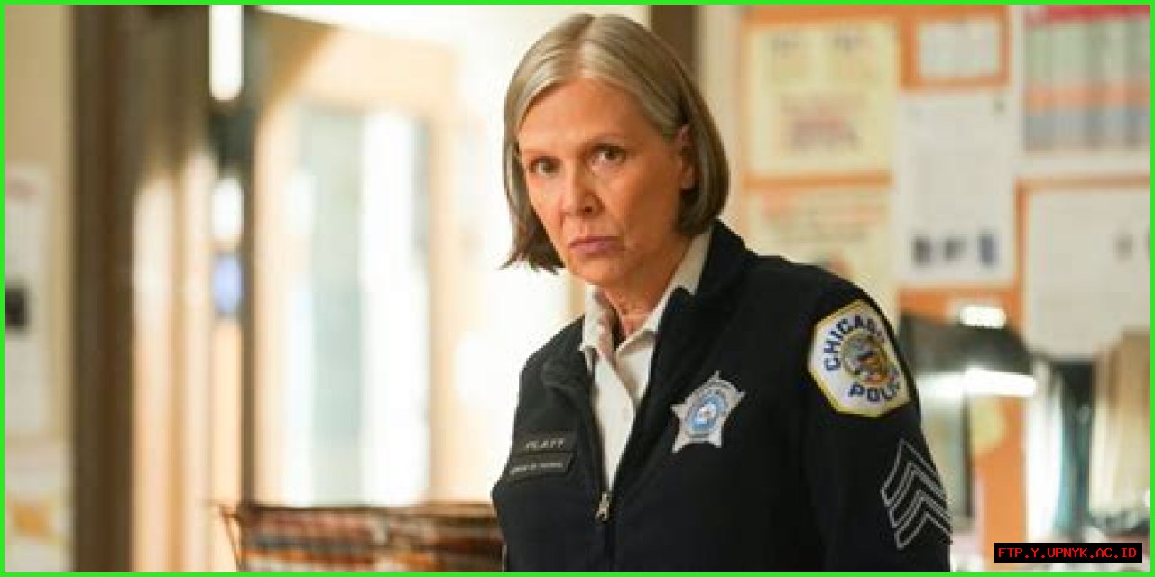 The Definitive Guide To Chicago PD's Trudy Platt