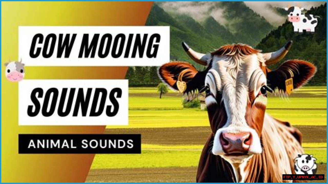 The Definitive Guide To Cow Moos & Mooing Sounds