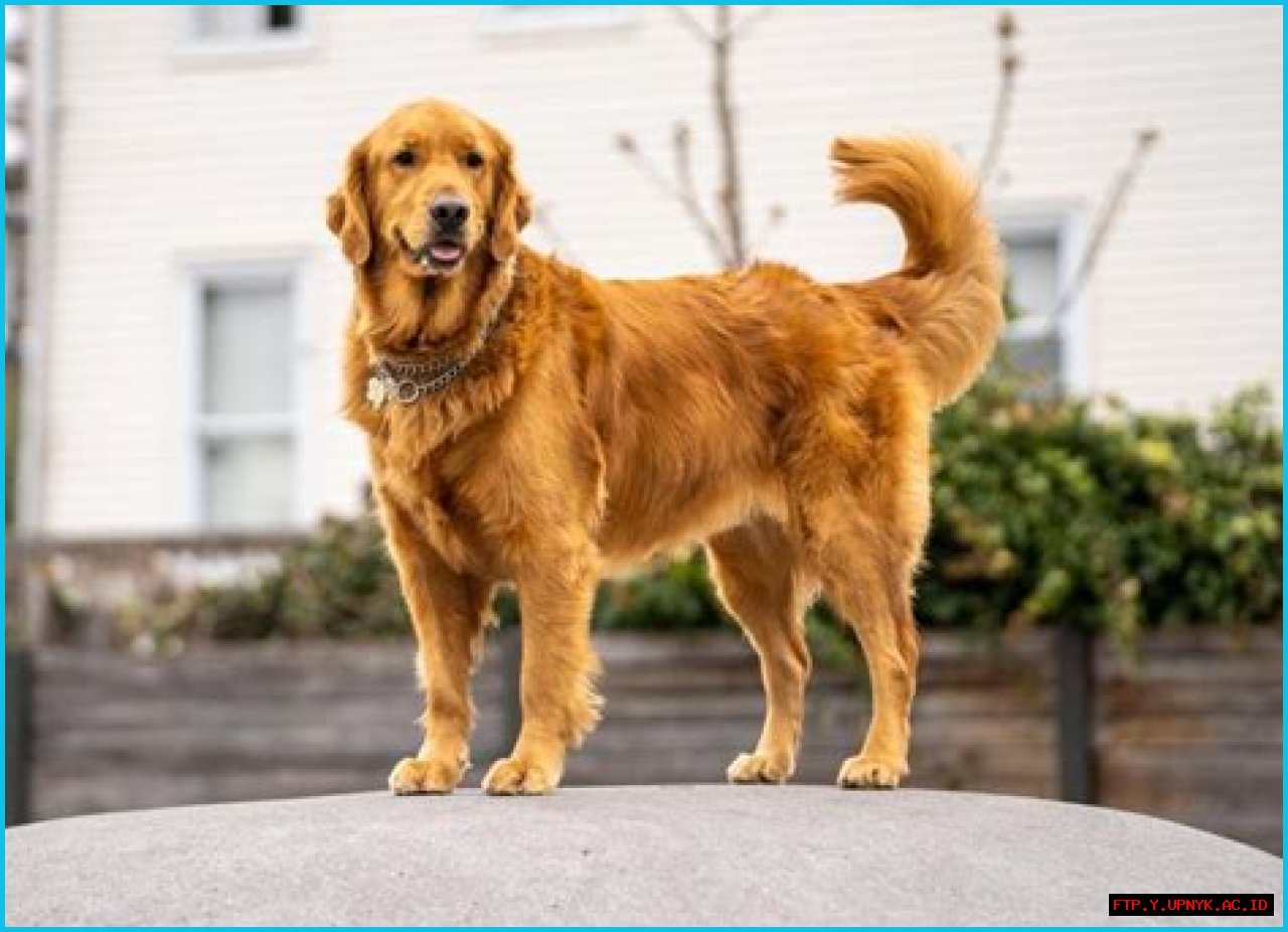 The Definitive Guide To Lil Wayne's Height