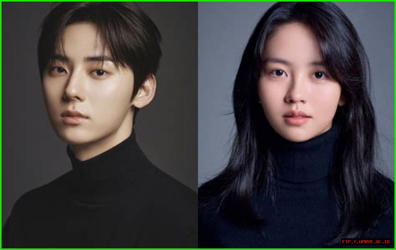 The Dynamic Duo: Exploring The Careers Of Kim Soo Hyun And Hwang In Yeop