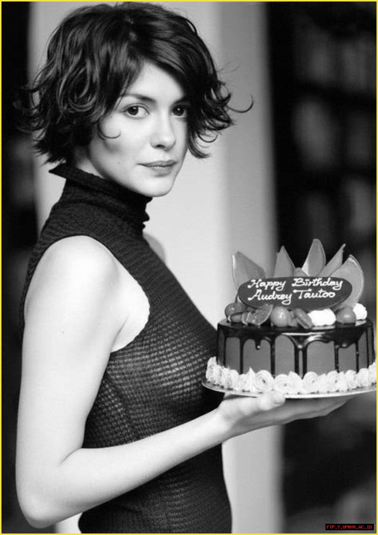 The Enchanting Audrey Tautou: A Star On Screen