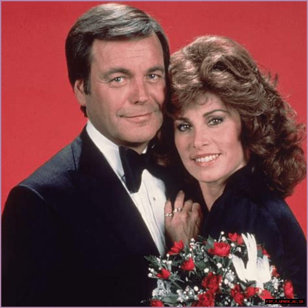 The Enduring Legacy Of Stephanie Powers: From 'Hart To Hart' To Beyond