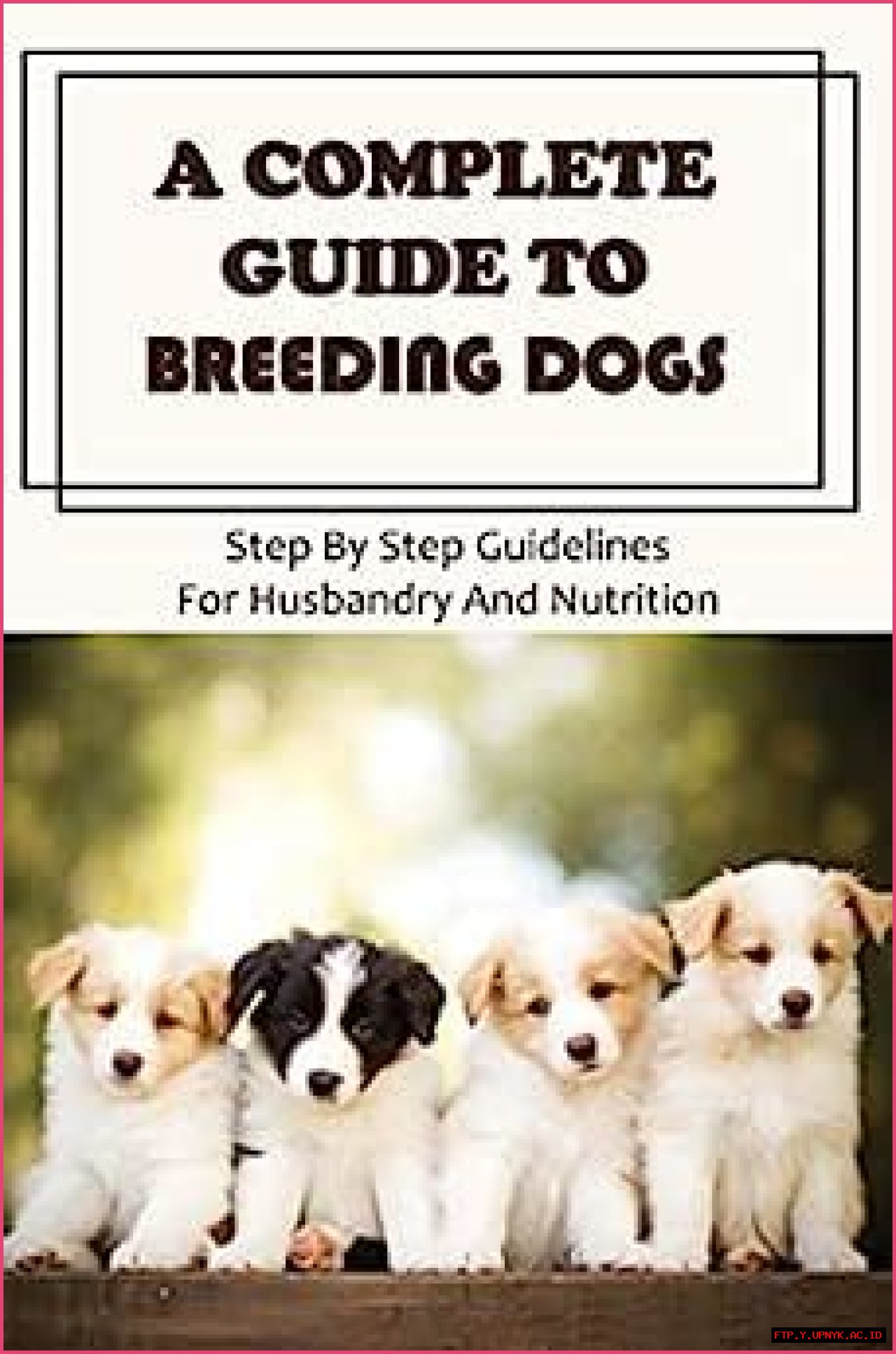 The Essential Guide To Breeding Dogs Successfully