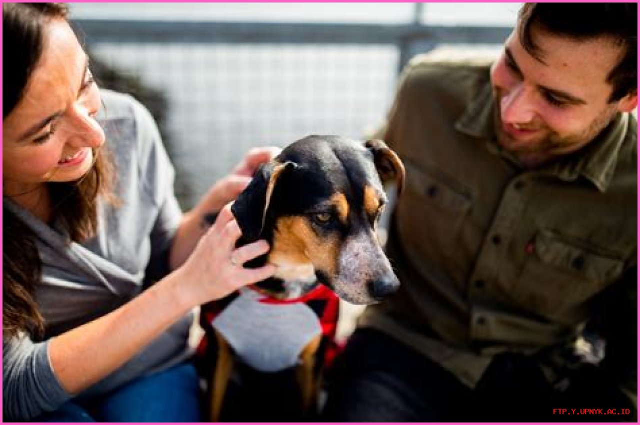 The Essential Guide To Dog Parent Gifts: Spoil Your Furry Friends And Their Human Companions