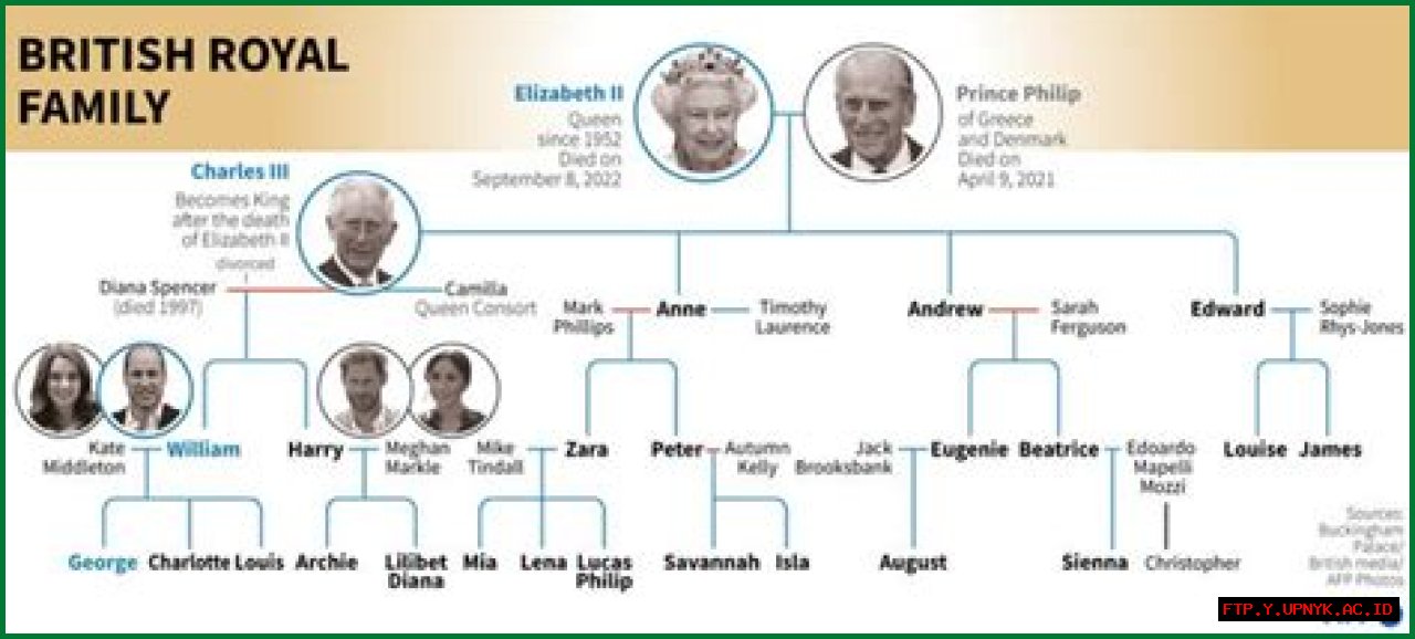 The Genealogy Of Shane Gillis: Uncovering His Roots And Ancestry