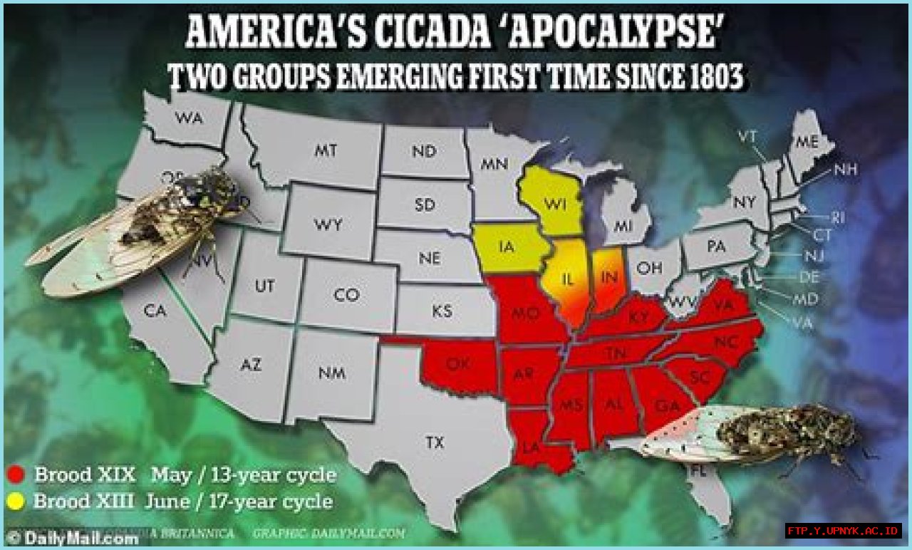 The Impending Cicada Apocalypse: A Swarm Of Billions Approaches