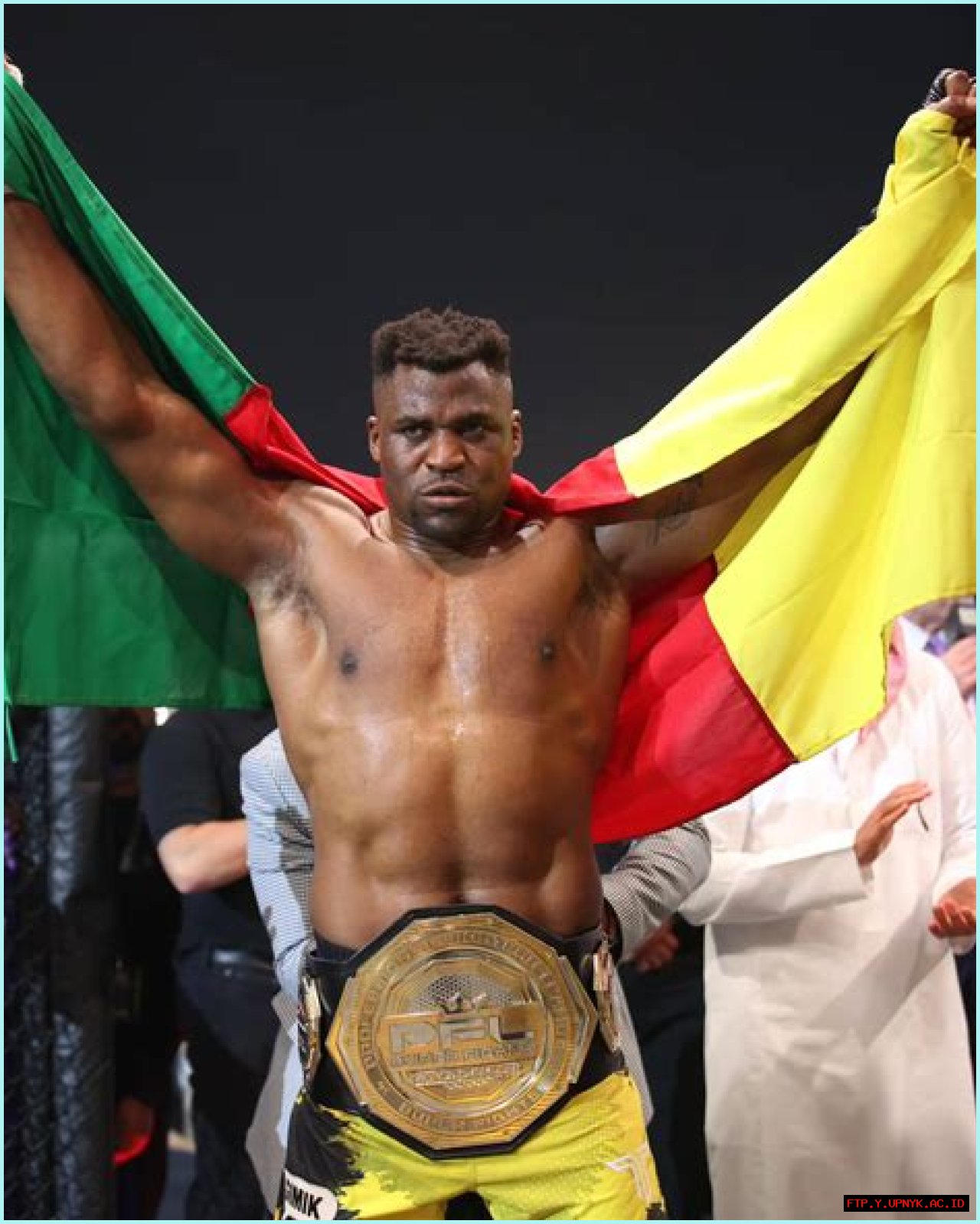 The Impressive Stature Of Francis Ngannou: Height And Weight Revealed