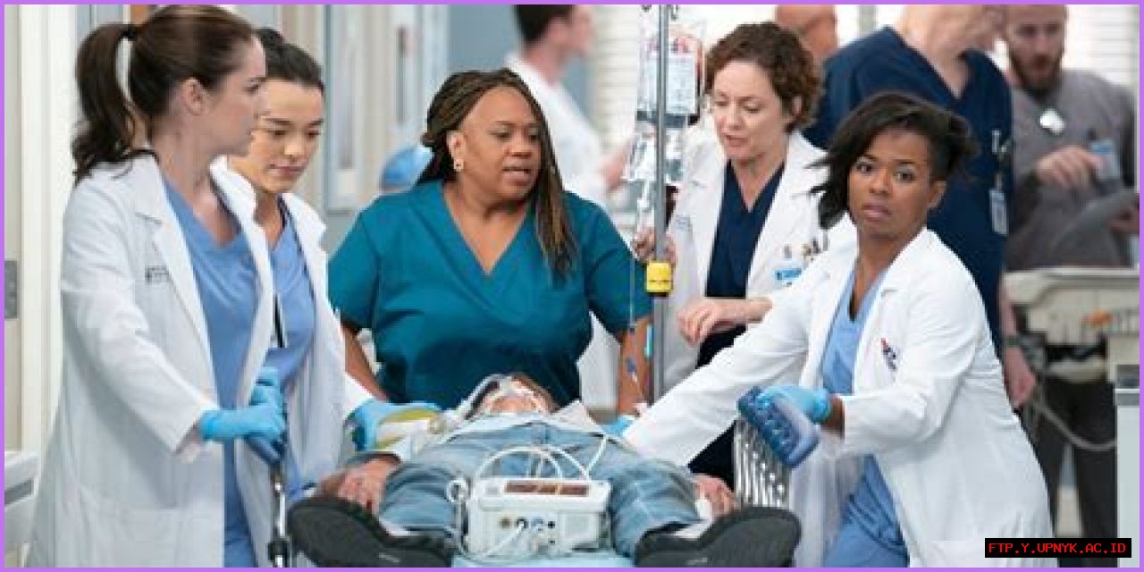 The Incredible Dr. Miranda Bailey: A Journey In Grey's Anatomy