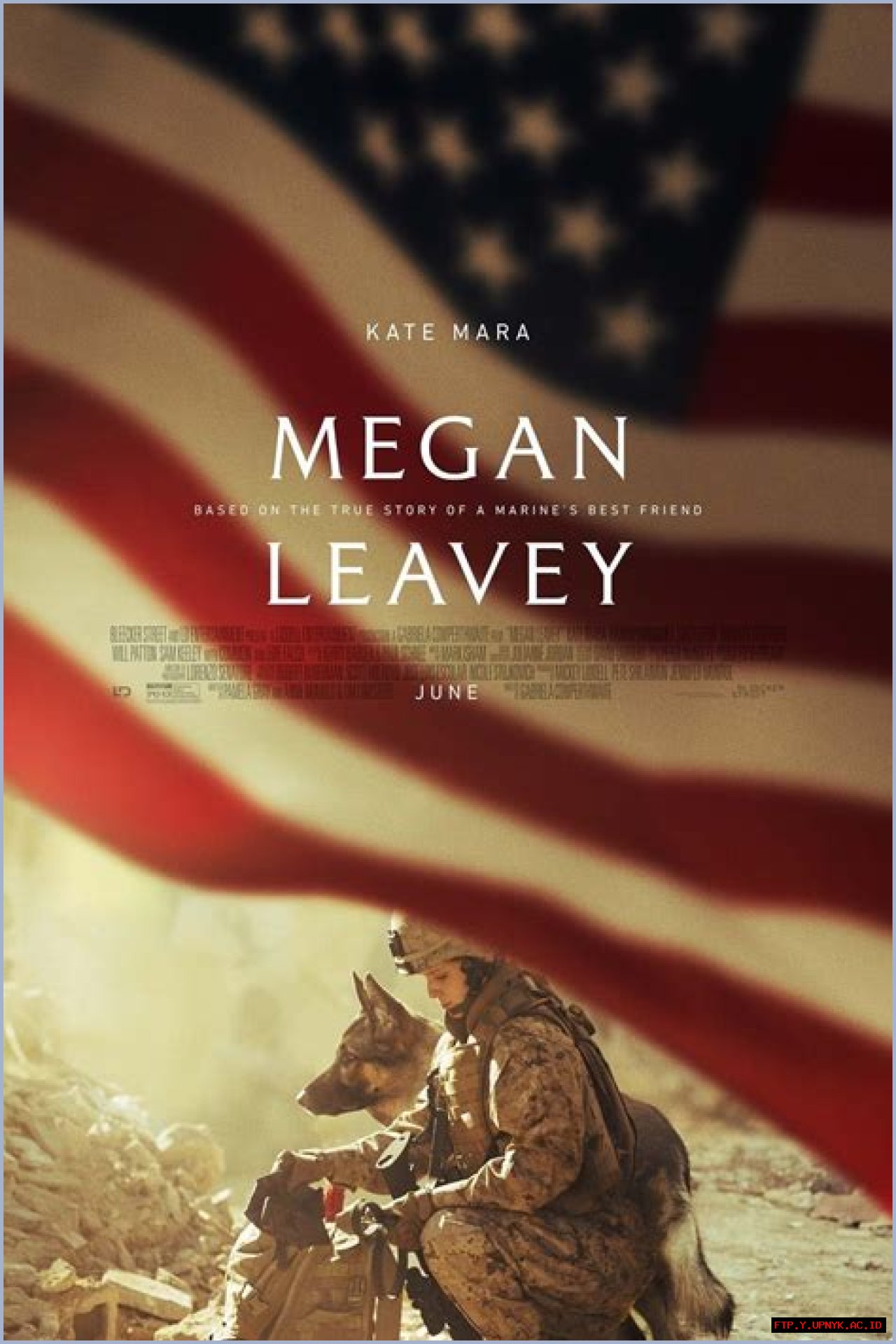 The Inspiring Real-Life Story Of Megan Leavey And Matt Morales