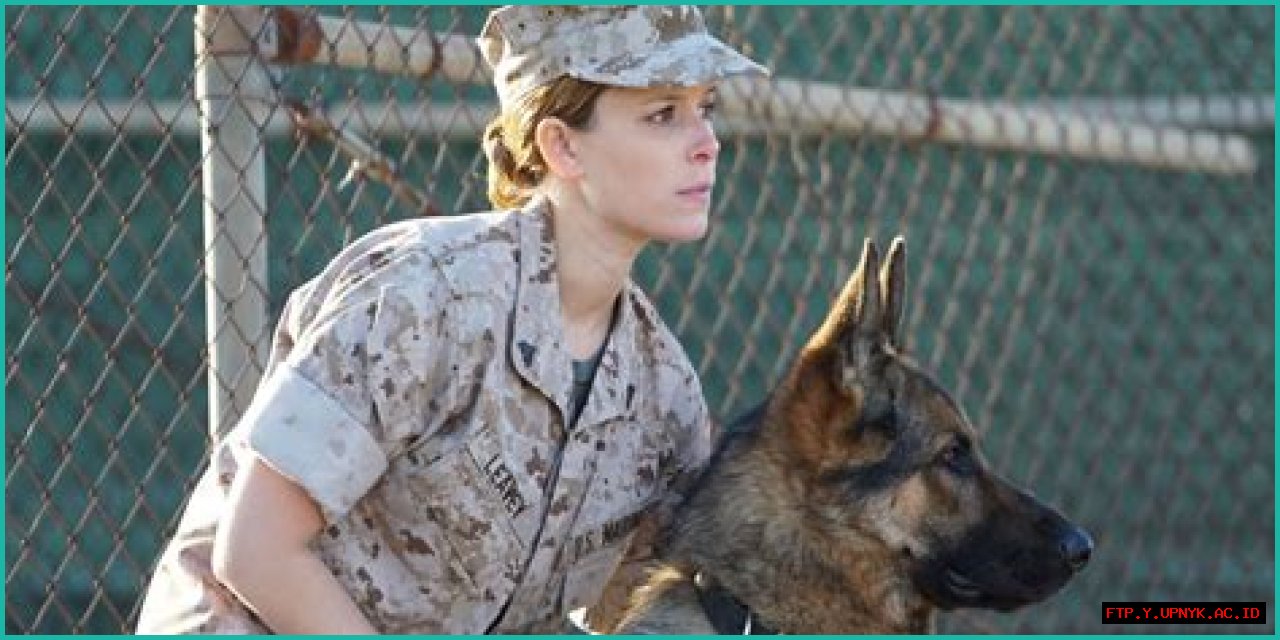 The Inspiring True Story Of Megan Leavey: A Hero's Bond