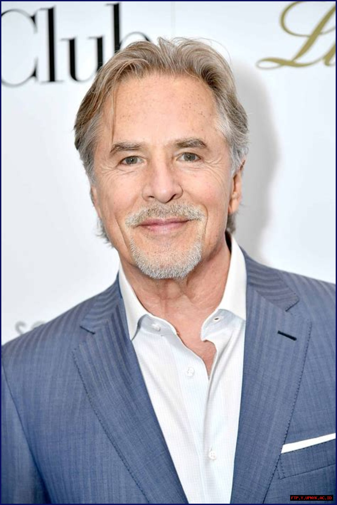The Life And Career Of Actor Don Johnson: A Biography