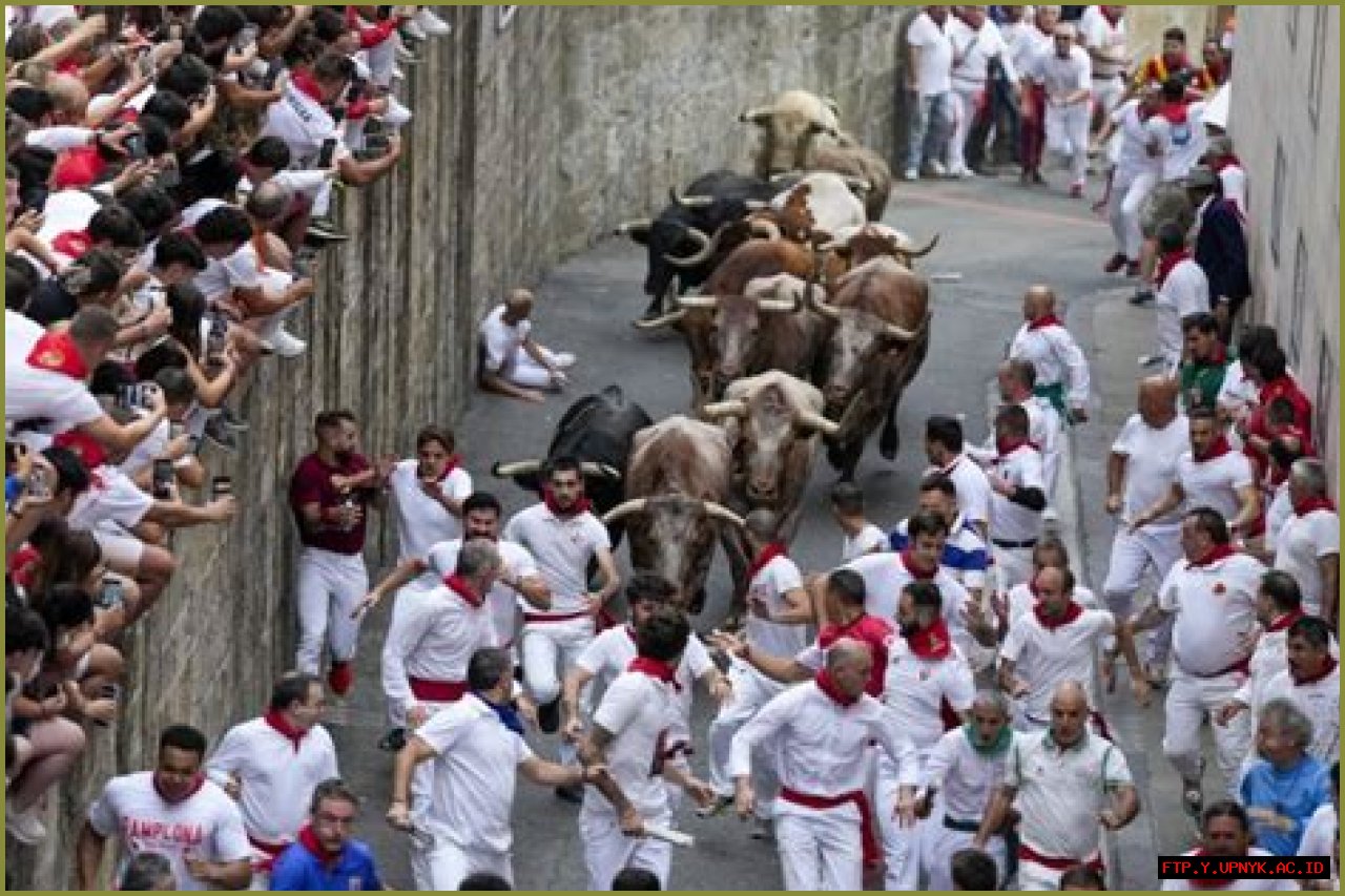 The Running Of The Bulls: A Canine Tradition
