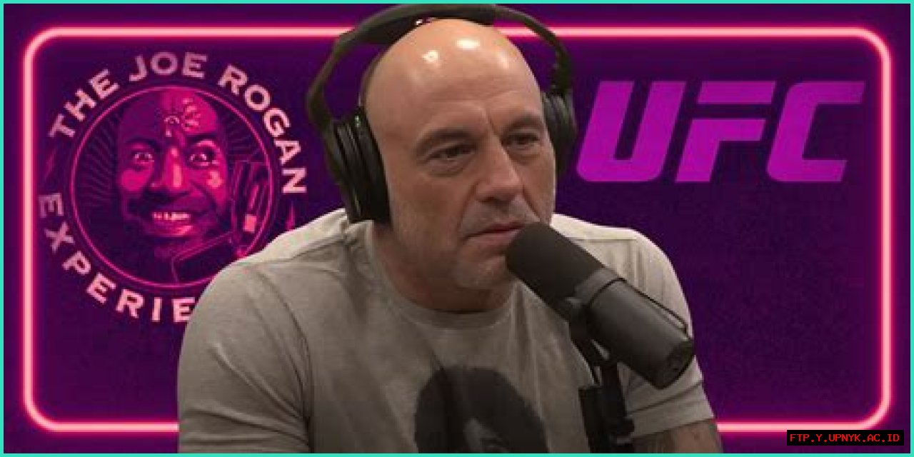 The Significant Partner Of Joe Rogan: A Comprehensive Guide