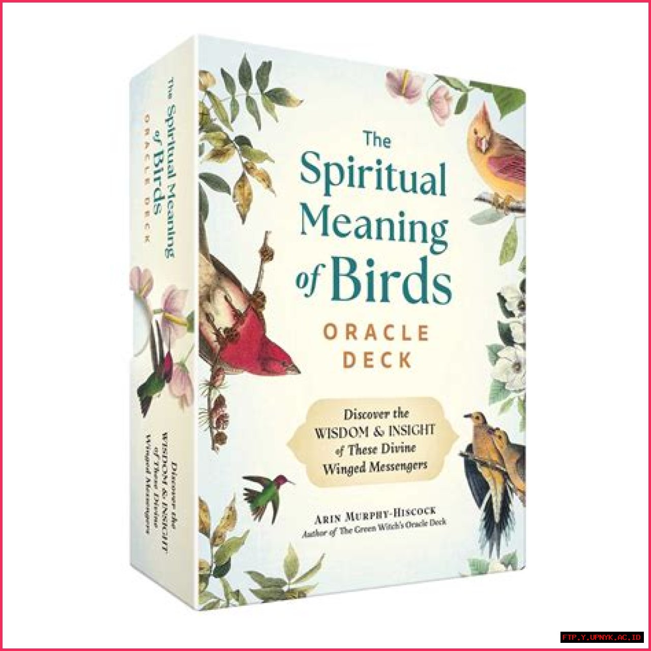 The Spiritual Meaning Of Birds Trying To Enter Your Home
