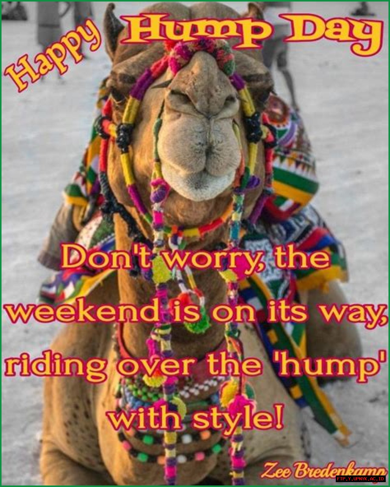 The True Meaning Of Hump Day: Uncovering The Origins And Significance