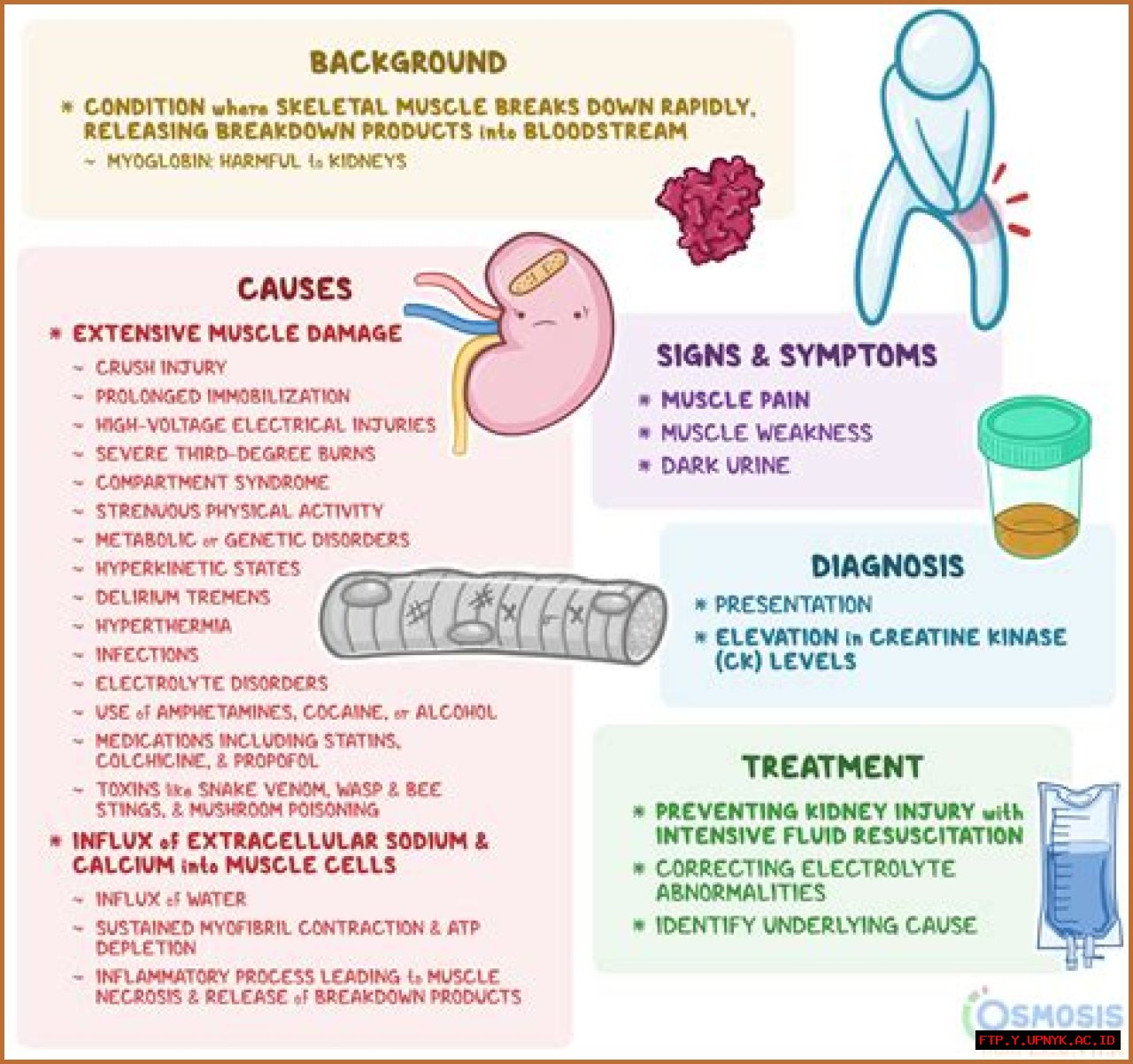 The Truth About Charles Barkley Disease: Causes, Symptoms, And Treatment