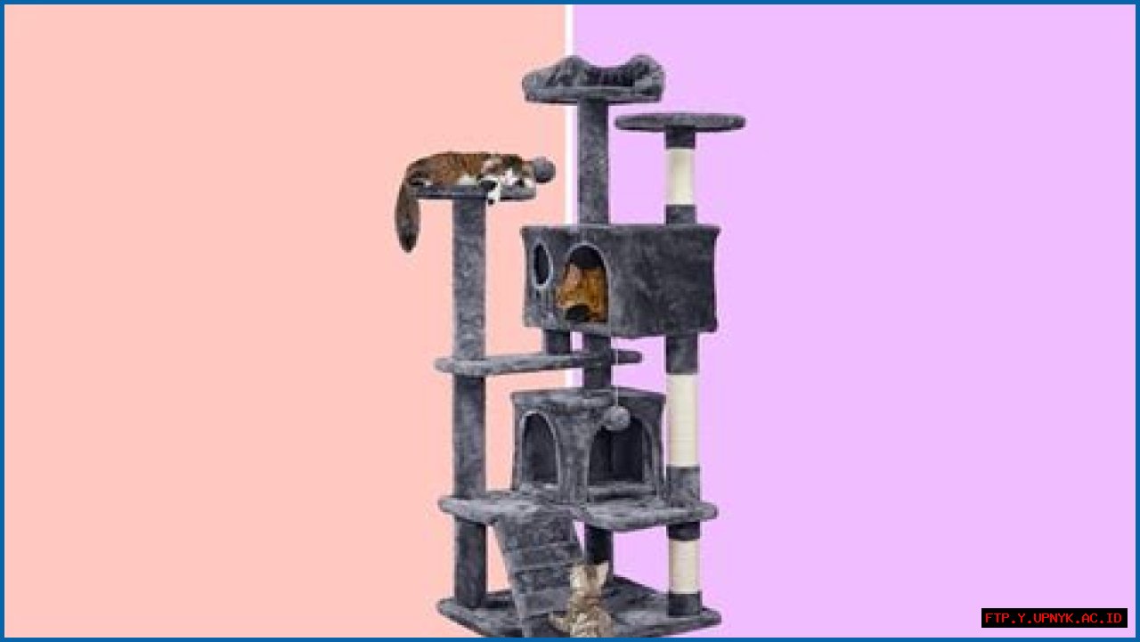 The Ultimate Cat Playtime Destination: Discover Our Towering Cat Toy Haven