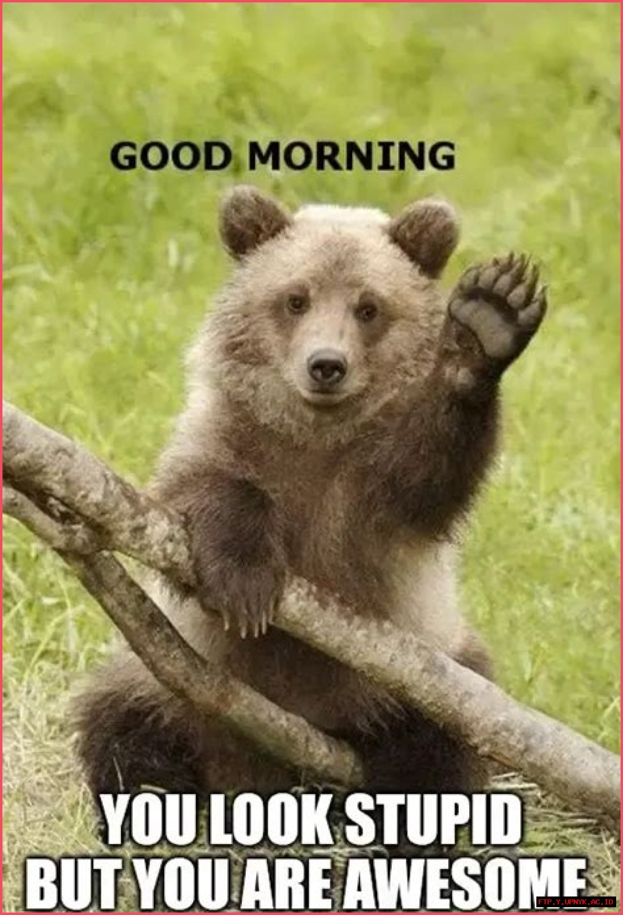 The Ultimate Collection Of Hilarious Good Morning Memes
