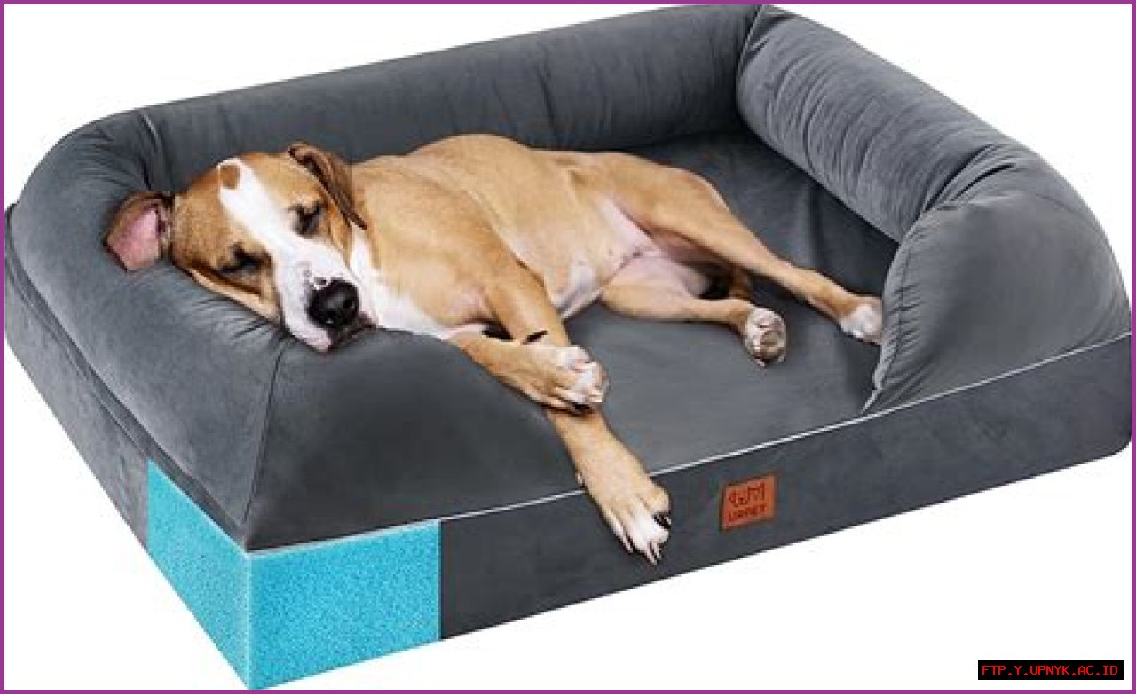 The Ultimate Comfort: Bolster Dog Beds Designed For Large Canine Companions