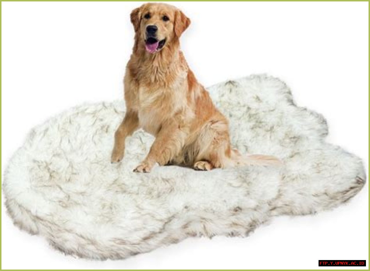 The Ultimate Comfort For Your Furry Friend: Cozy Faux Sheepskin Dog Bed
