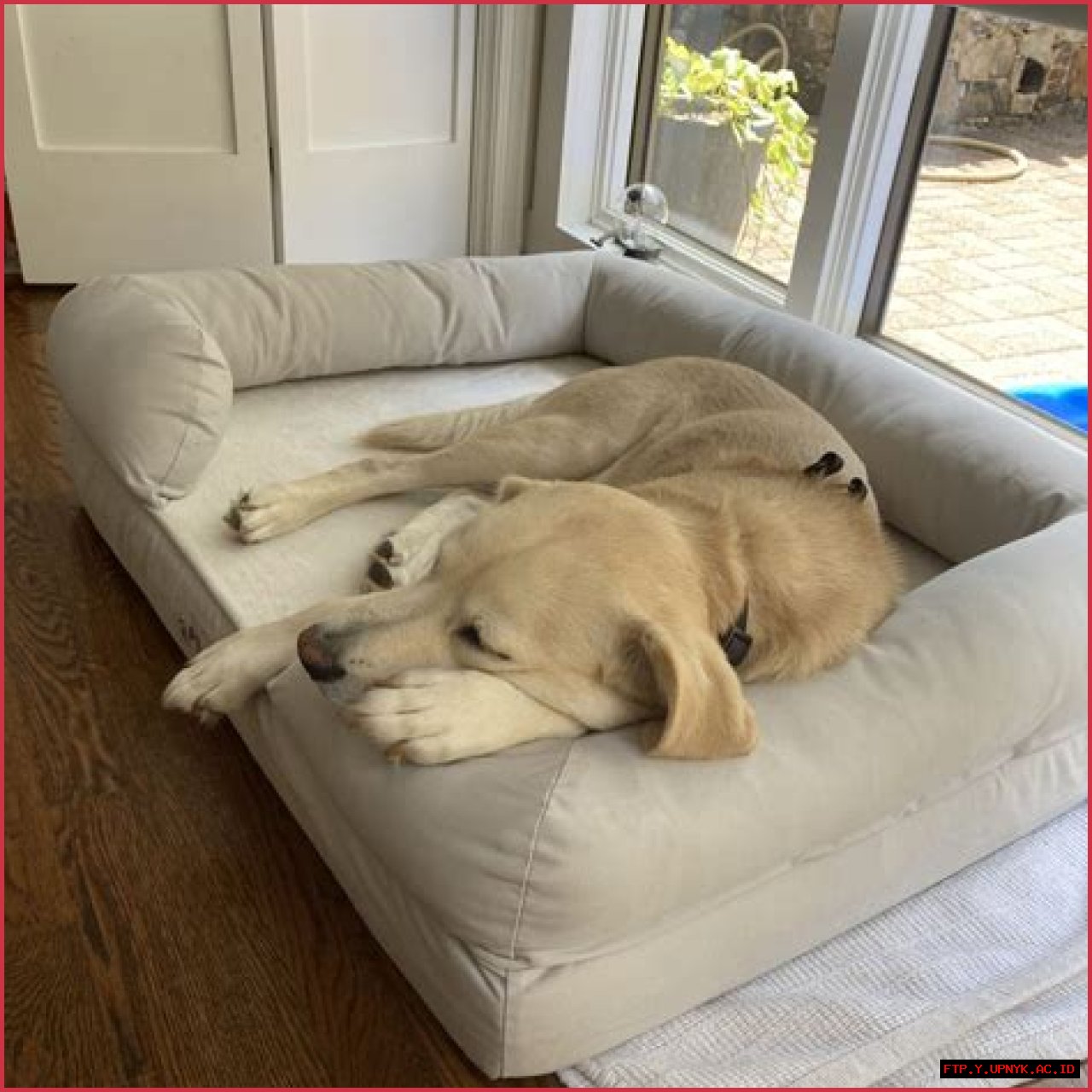 The Ultimate Dog Bed For Your Beloved Bulldog: Comfort And Style