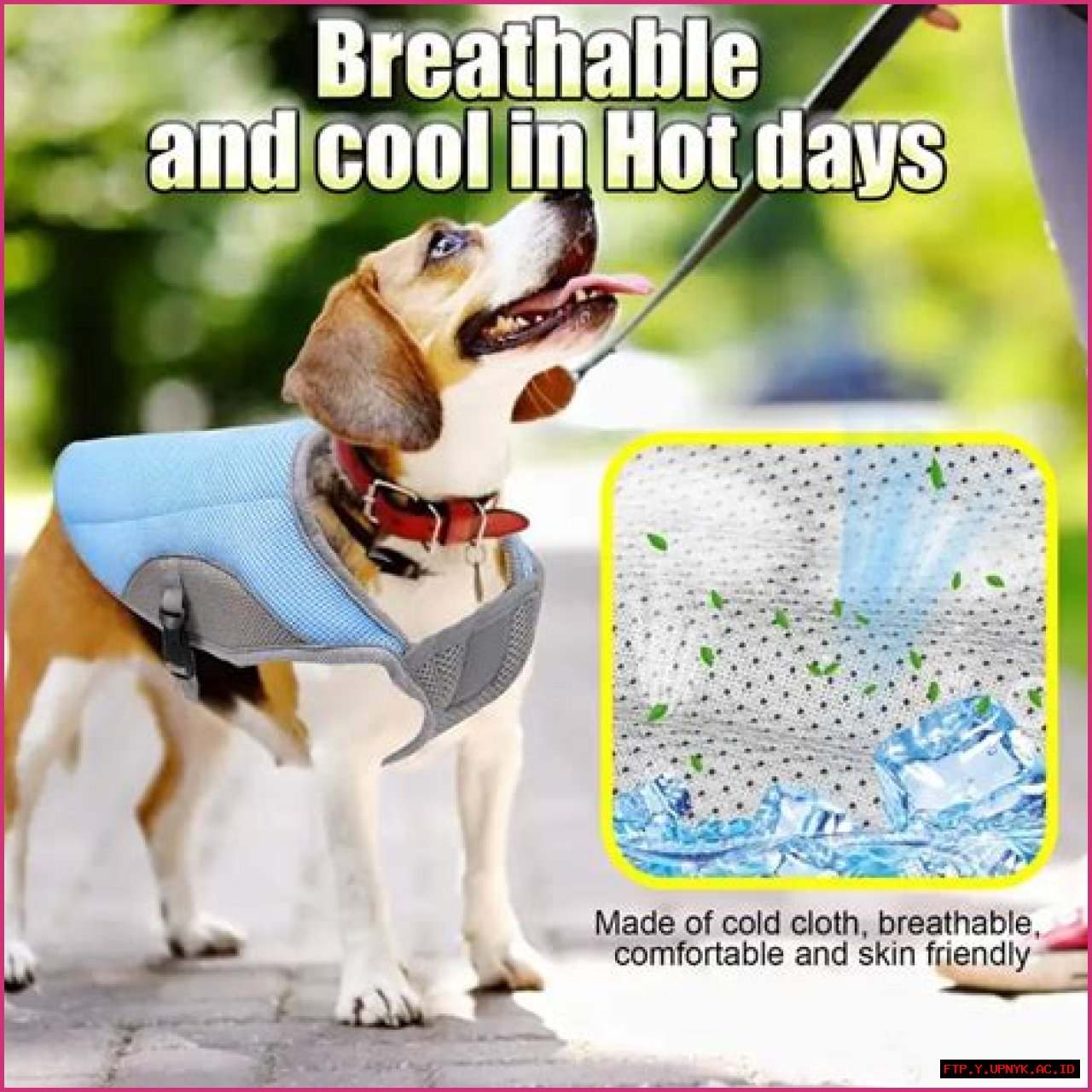 The Ultimate Dog Cooling Hat: Keep Your Pup Cool And Comfortable