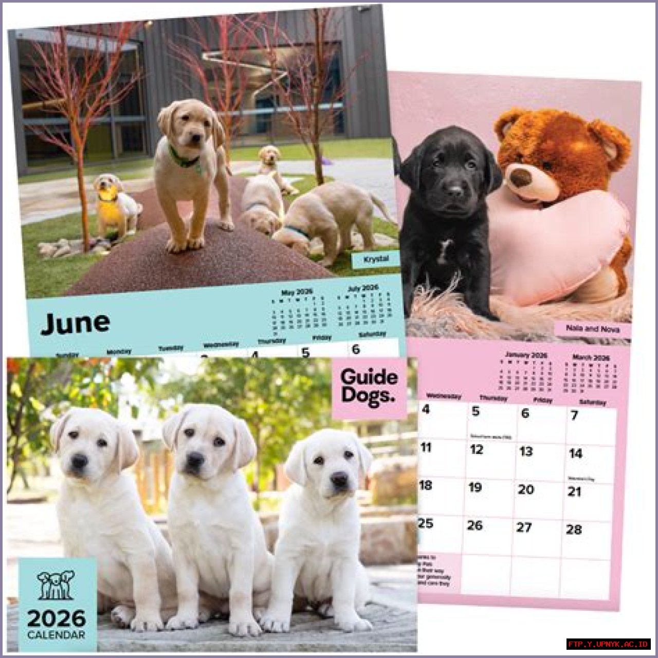 The Ultimate Guide: The Dog Calendar For Dog Lovers