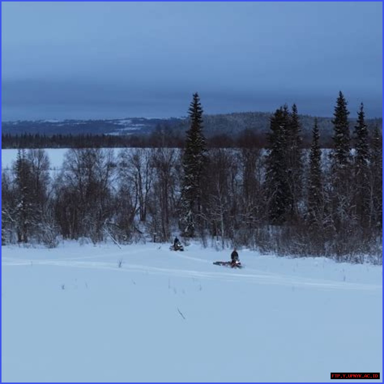 The Ultimate Guide To Alex Javor: Height, Weight, Net Worth, And Age