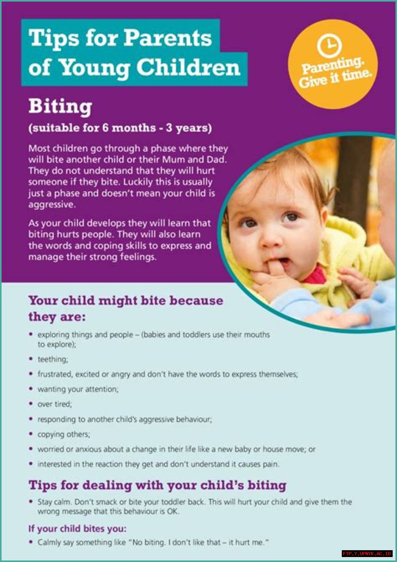 The Ultimate Guide To Biting 2: Techniques And Tips