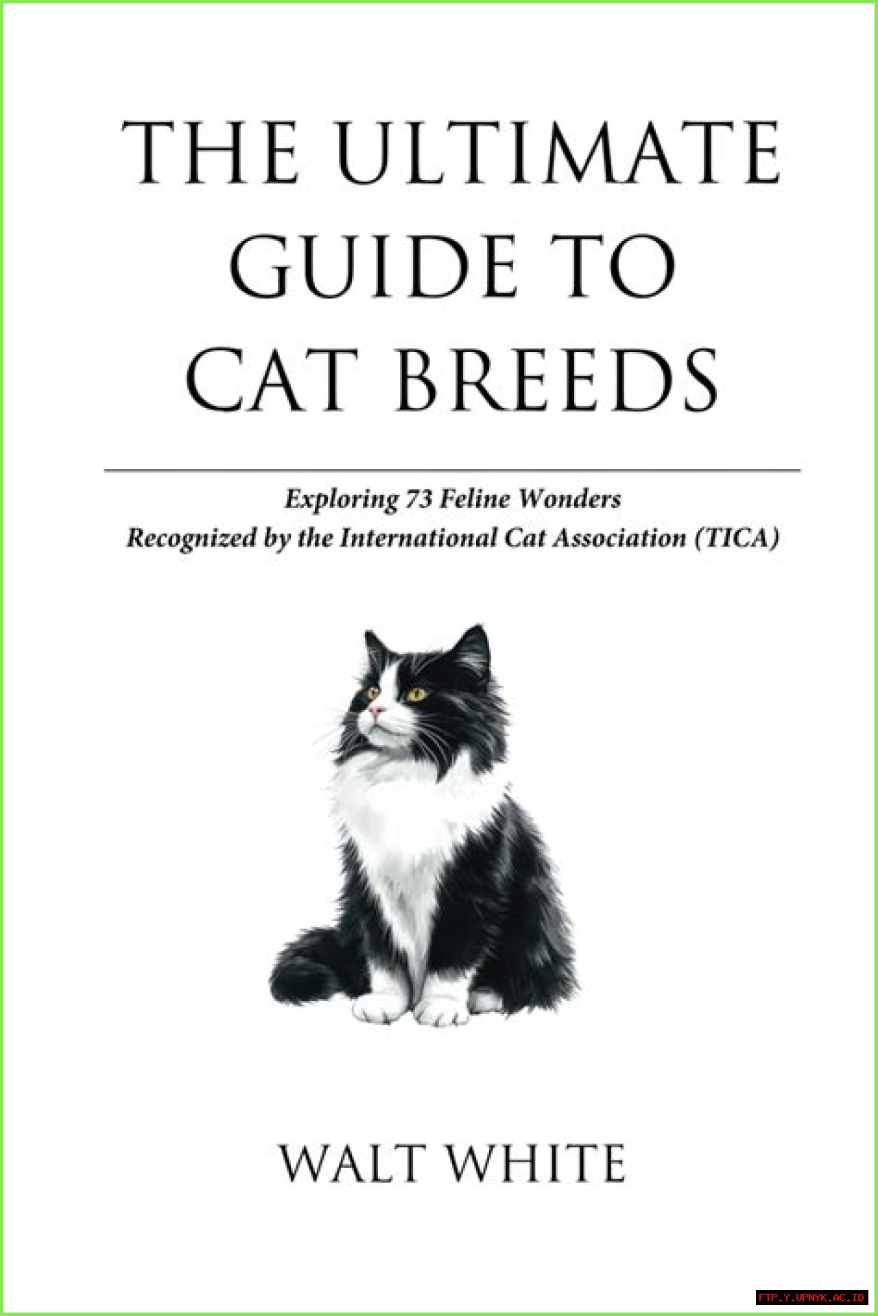 The Ultimate Guide To Cat-AT-ATs: Everything You Need To Know