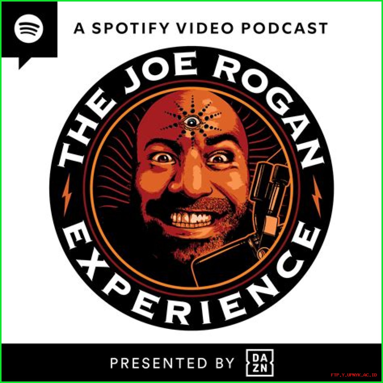 The Ultimate Guide To Joe Rogan's Podcast Partners