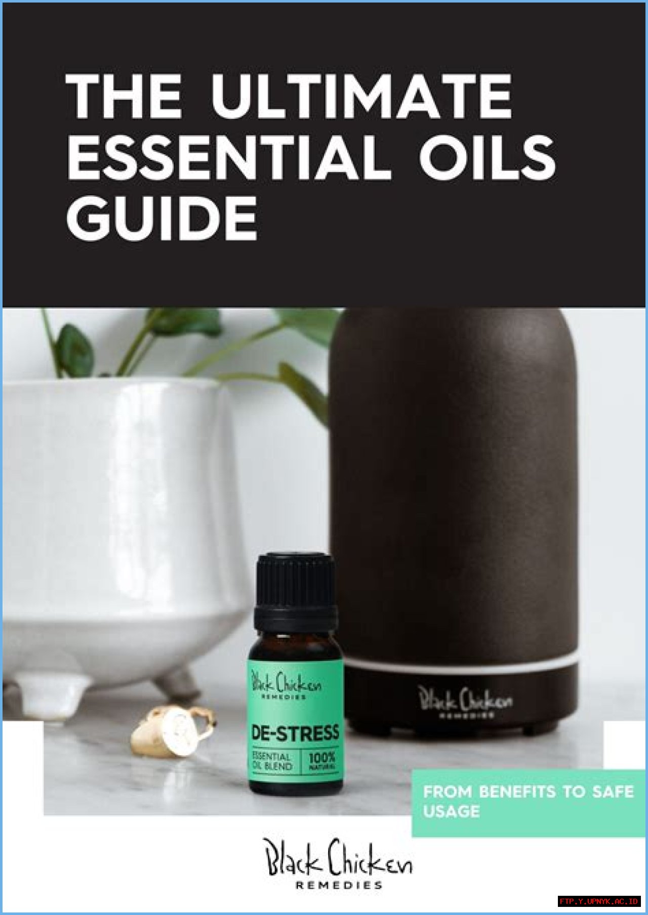 The Ultimate Guide To Lamine Yamal Eiki: Discover The Power Of Essential Oils