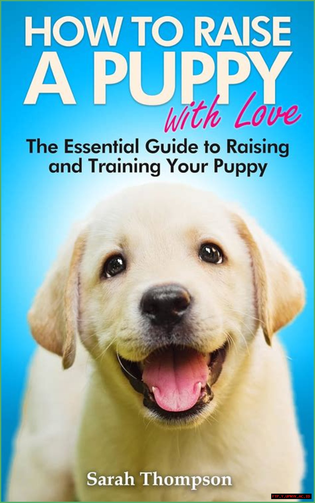 The Ultimate Guide To Raising And Training A Puppy For Ages 0-3
