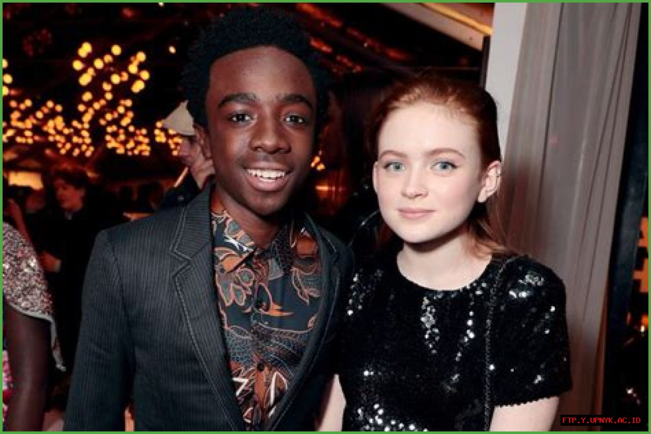 The Ultimate Guide To Sadie Sink's Famous Boyfriend