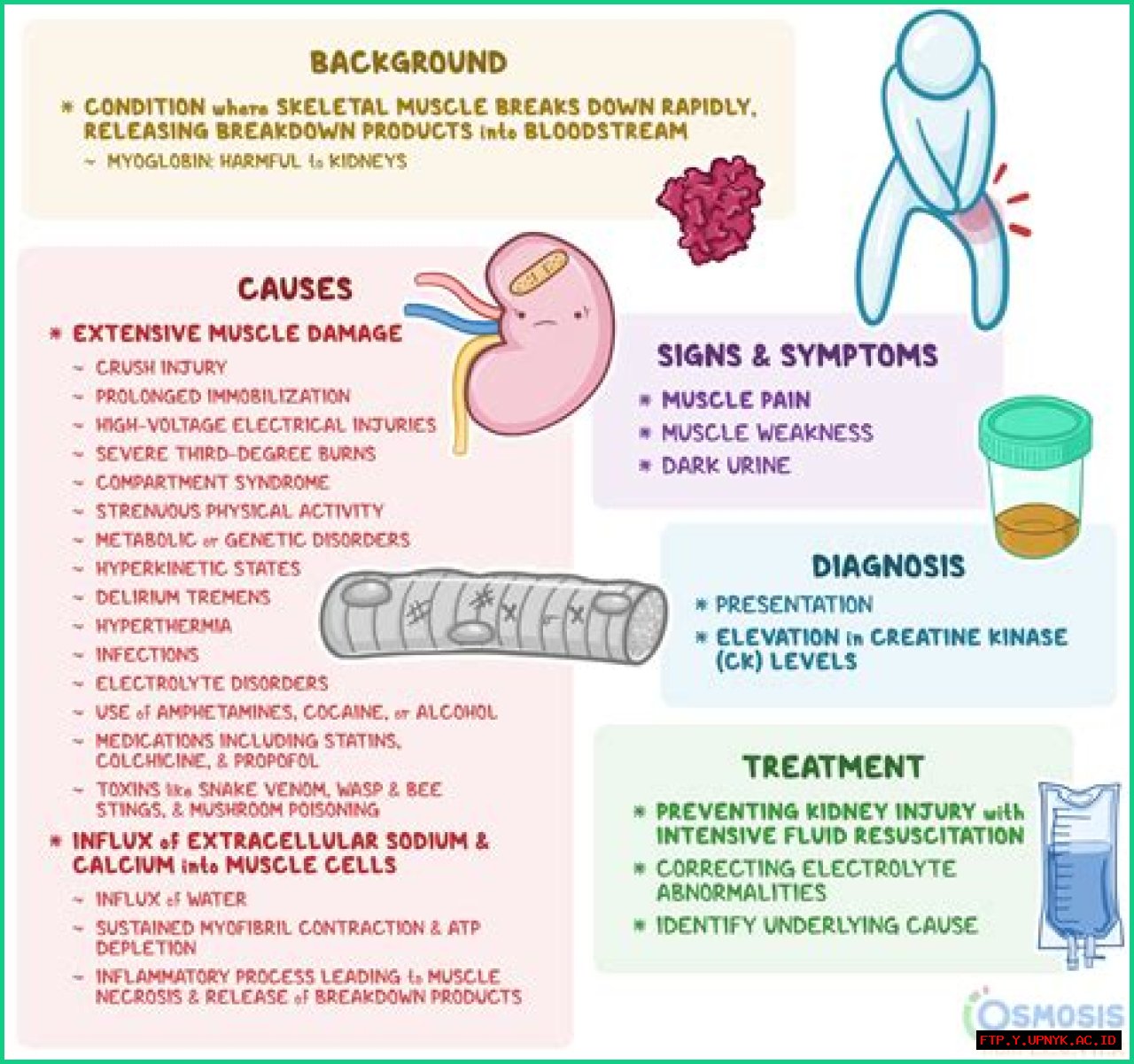 The Ultimate Guide To Seemerot: Causes, Symptoms, And Treatment
